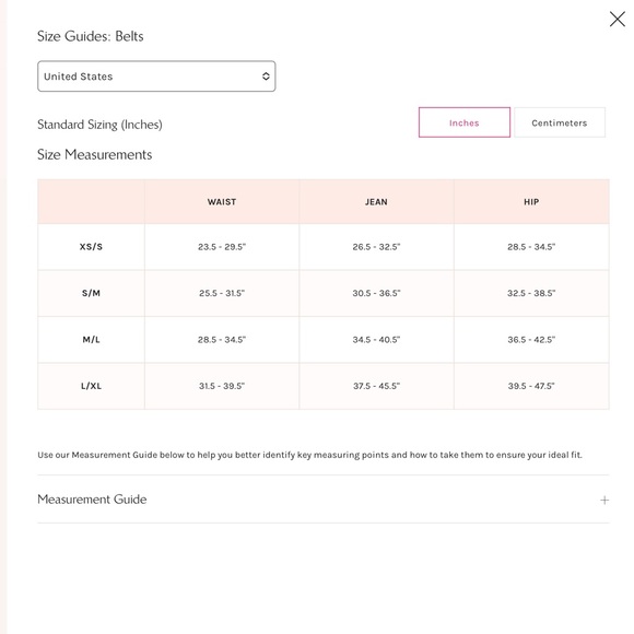 NWT FREE PEOPLE ALL STAR WAIST BELT (M) - Picture 6 of 6